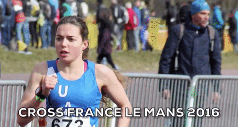 crossfrancelemans2016
