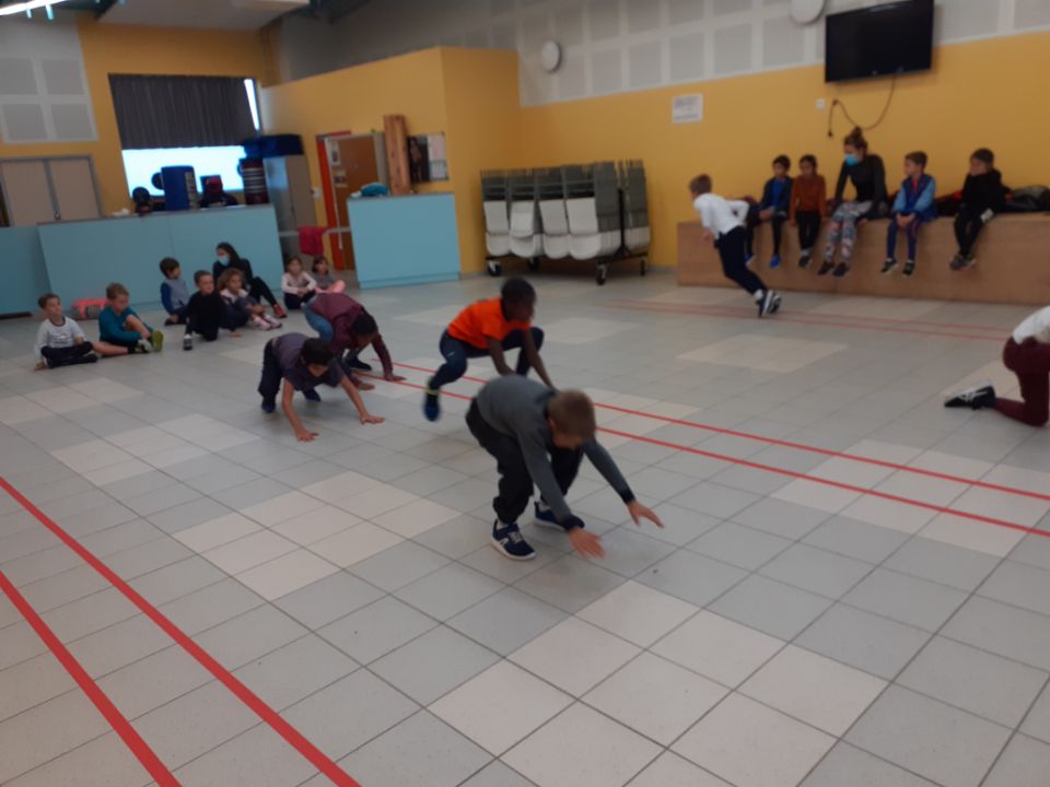 IMG 1136